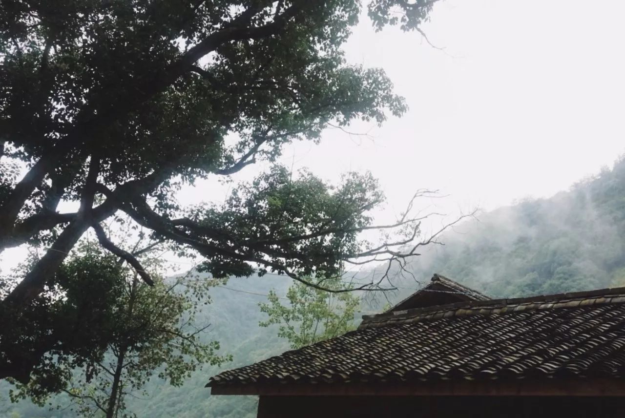 杭州·天方夜潭，給你一個(gè)「山脊之巔」的舞臺(tái)