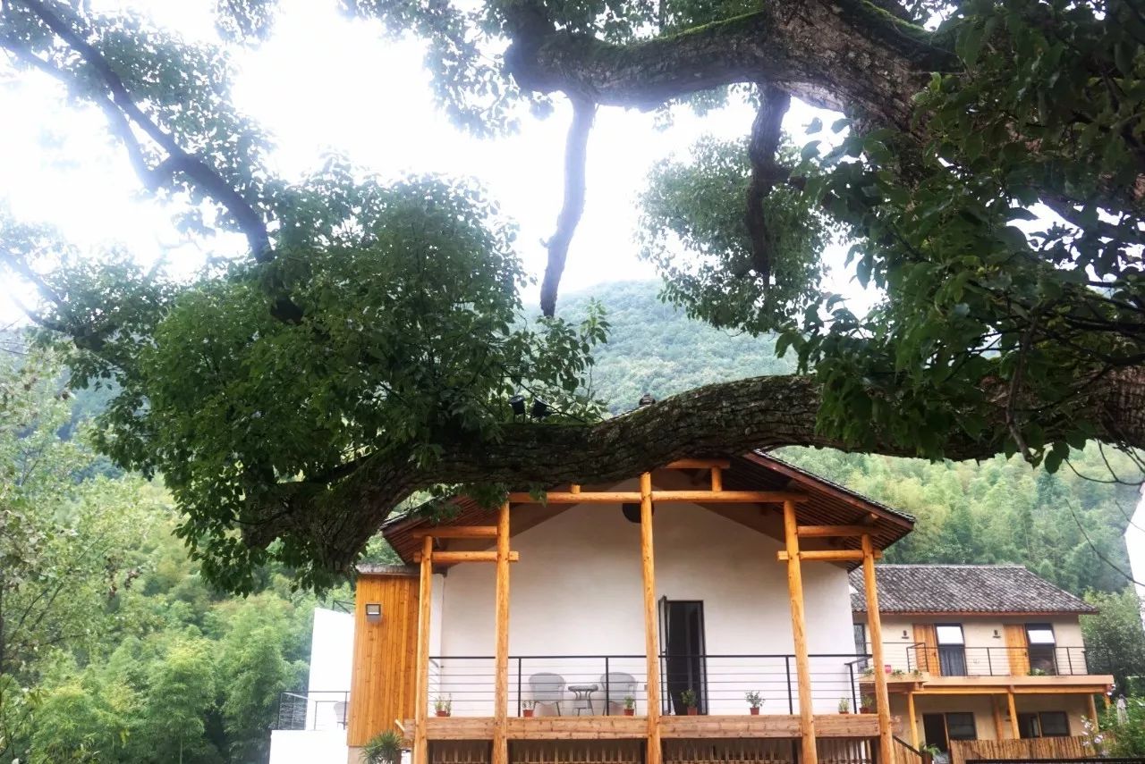 杭州·天方夜潭，給你一個(gè)「山脊之巔」的舞臺