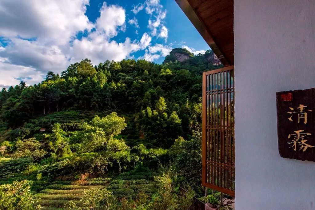 叢山茶境，一片天一座山忘了山外忘卻自己