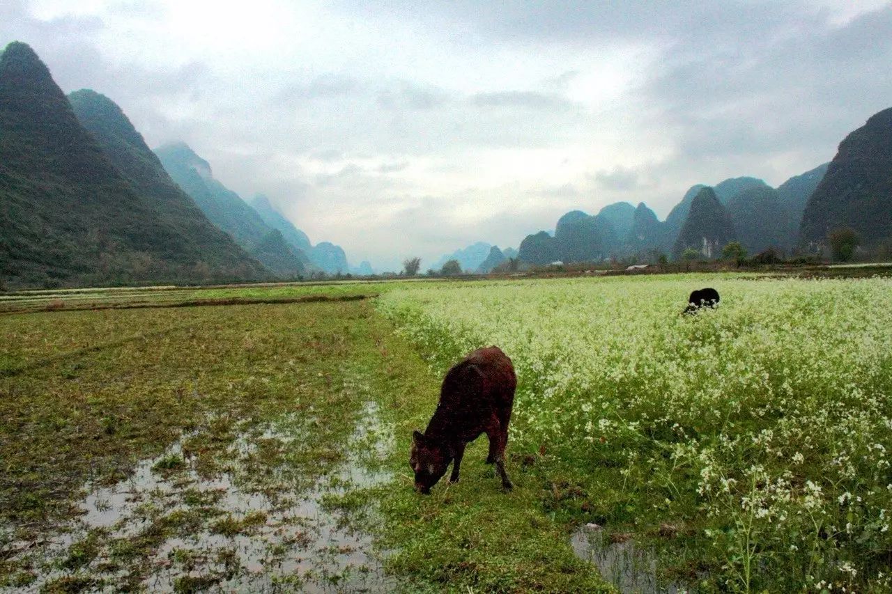 云澗阡陌·野望，特色度假小鎮(zhèn)體驗(yàn)親子主題民宿