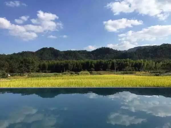 3間開(kāi)在稻田里的民宿，回歸自然向往田園風(fēng)光