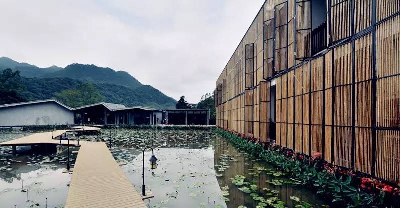 3間開在稻田里的民宿，回歸自然向往田園風(fēng)光