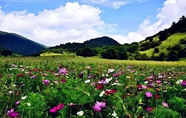 3間開在稻田里的民宿，回歸自然向往田園風(fēng)光