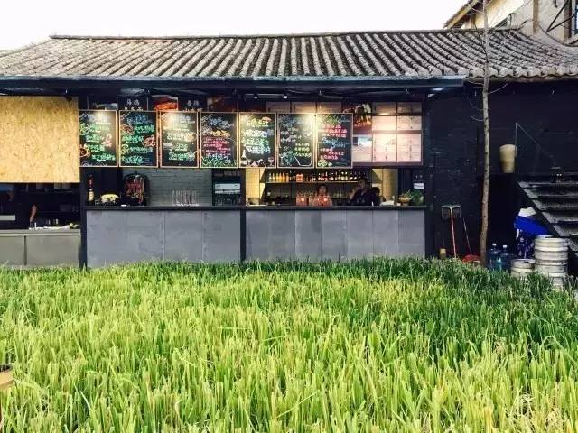 3間開在稻田里的民宿，回歸自然向往田園風光