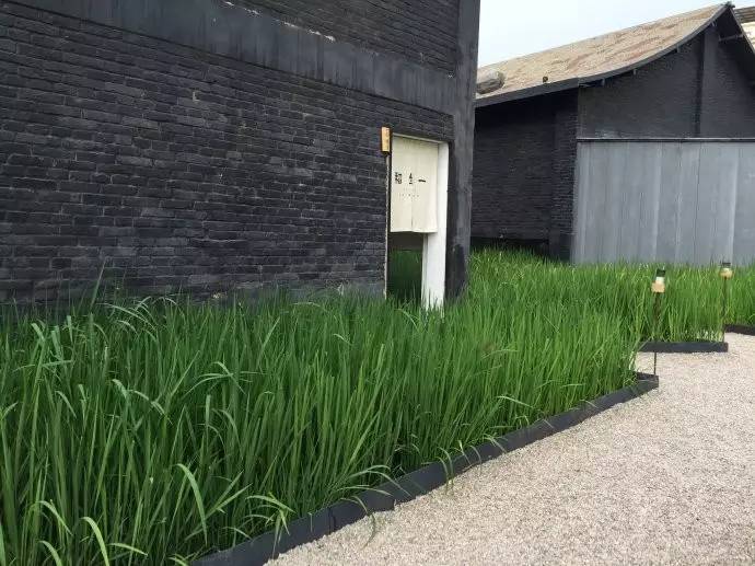 3間開在稻田里的民宿，回歸自然向往田園風(fēng)光