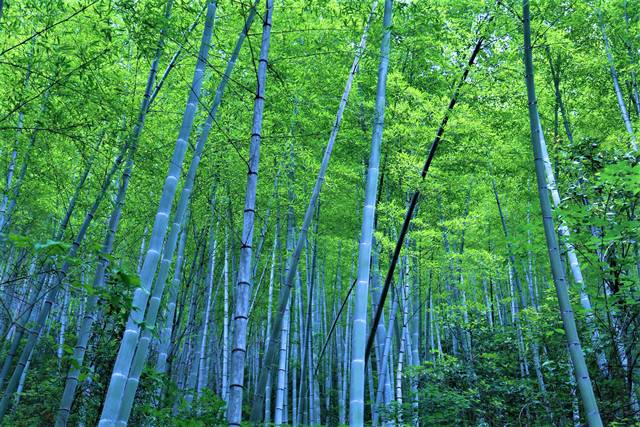 云門山居，雕琢廚藝隱居世外匠心如一
