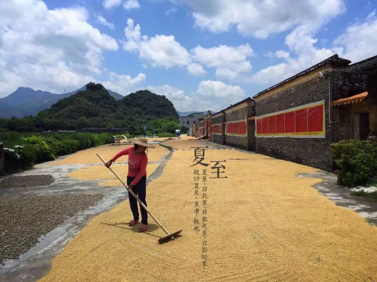 桃花壹號，靜下來品味生活最美的那一面