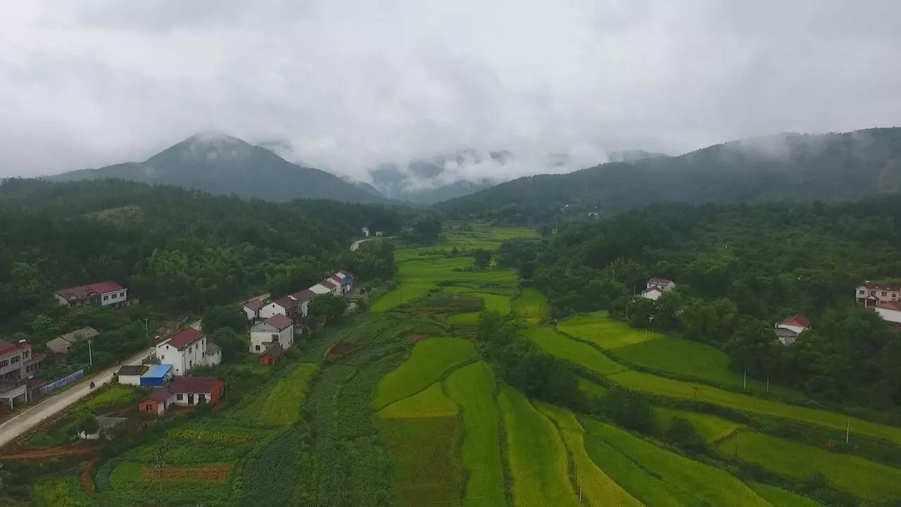 陌上·花溪堂，陌上花開笑顏傾城