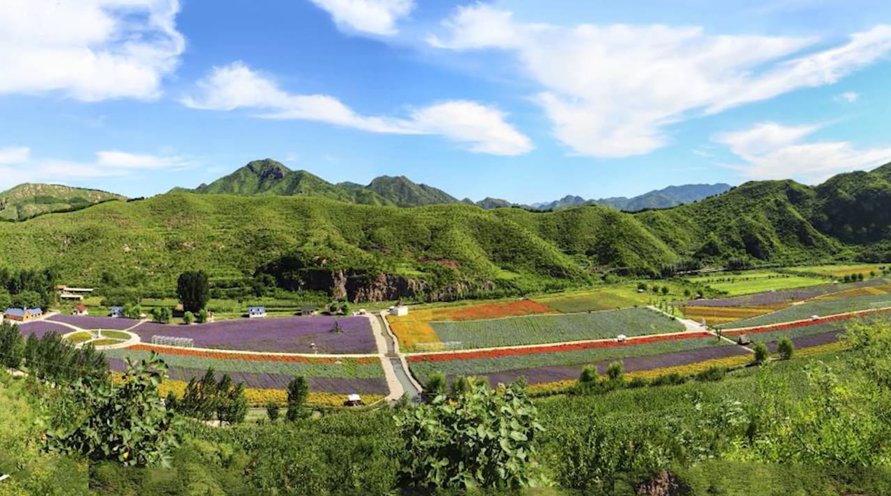 陌上·花溪堂，陌上花開笑顏傾城