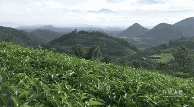 湖州嶺霧，在云霧之巔把自然搬進(jìn)屋內(nèi)