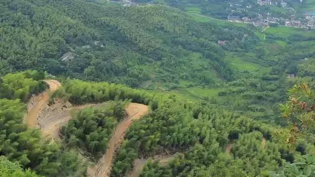 珀洱半坡，在竹海樹林之間盡享山間好風(fēng)光