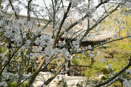 瓜洲云裳山村，春風(fēng)又綠江岸春