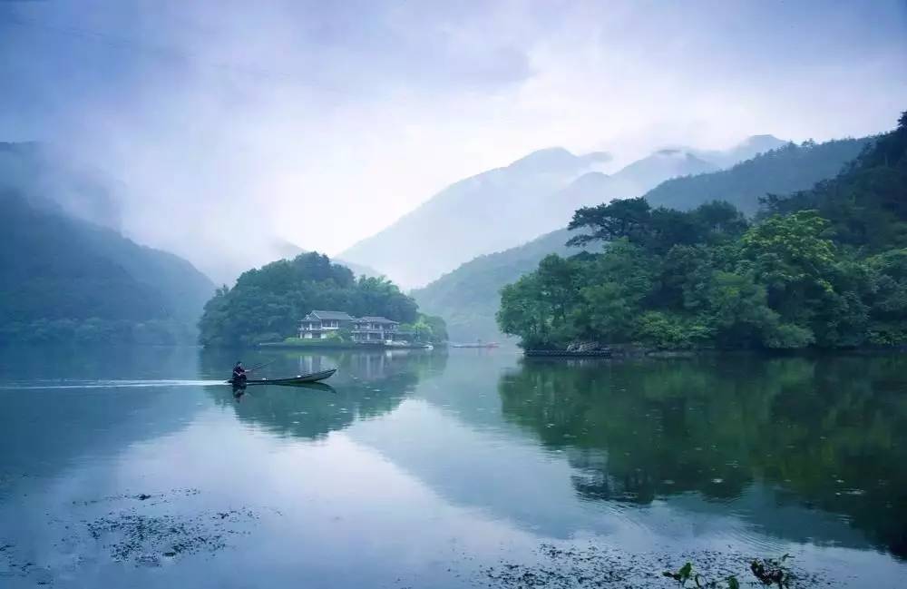 梧桐小筑，一幅靜靜舒展的水墨畫卷