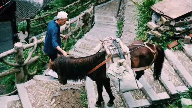 西江千戶苗寨方至客棧民宿，由幸福里團隊打造