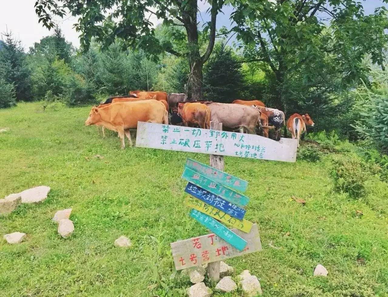 若丁山七號(hào)營地，無數(shù)人向往的“星空露營地”