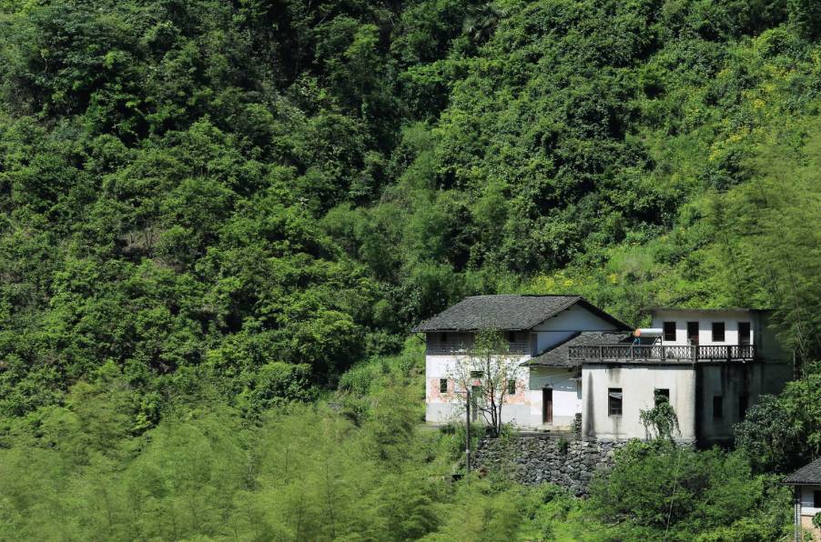 黃山云上民宿，看云卷云舒留住淳樸田園生活