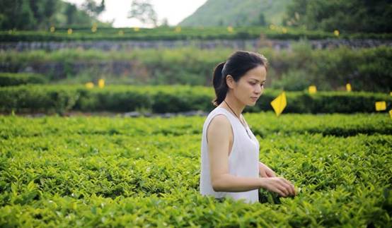 壹城一家，一座城一盞燈一個(gè)家在守候你