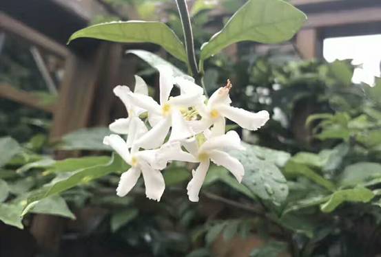 壹城一家，一座城一盞燈一個(gè)家在守候你