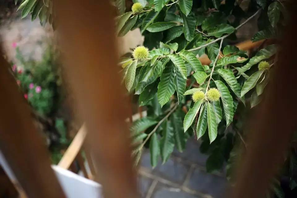 壹城一家，一座城一盞燈一個家在守候你