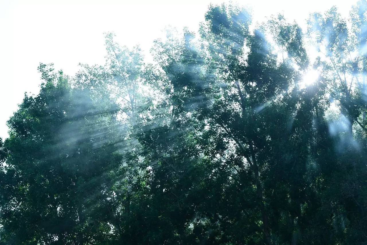 松贊拉薩曲吉林卡，用松贊的方式重走拉薩