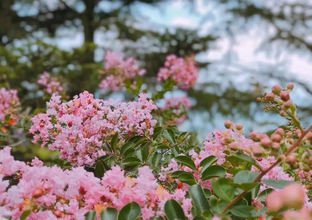 忘山別墅莫干山民宿，一棟百年歷史的民國別墅