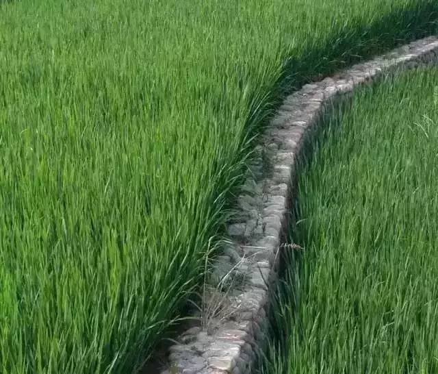 九華山德懋堂，九華山間打坐冥想清涼入心
