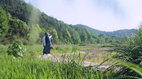 新安江畔谷掌民宿，莊園里享受青山環(huán)繞的美景
