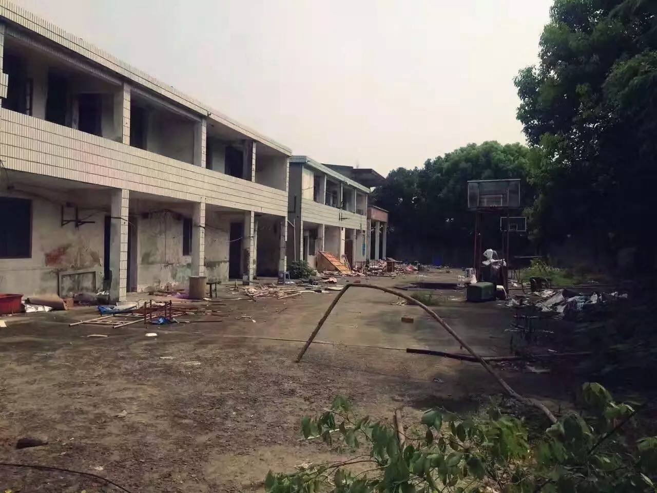 上海四舍，遠(yuǎn)離城市溫暖自由靈魂的世外江湖