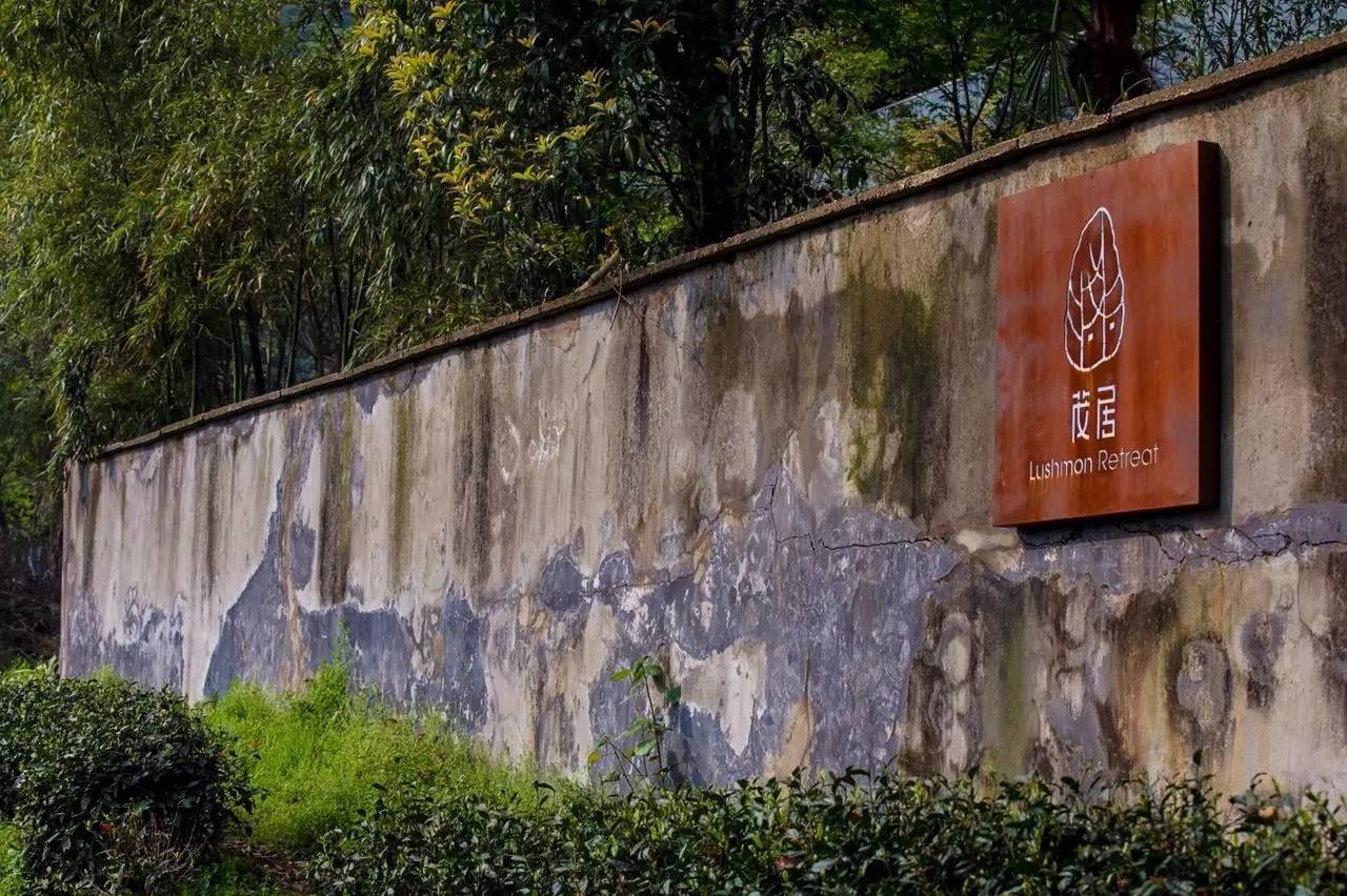 杭州龍井茂居民宿，在茶田之中枕著茶香入睡