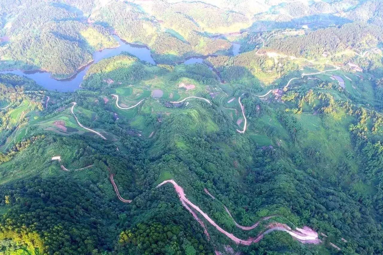 大來山樹屋民宿，喚醒古老村莊留住青山綠水