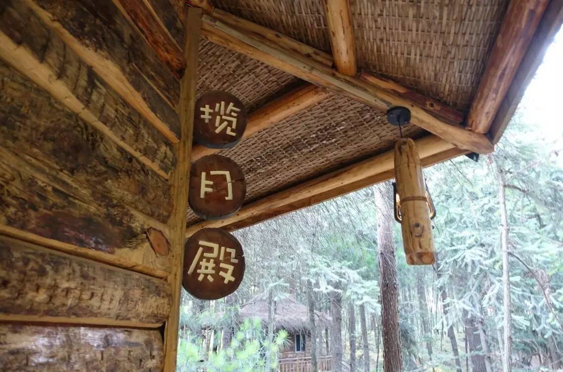 大來山樹屋民宿，喚醒古老村莊留住青山綠水