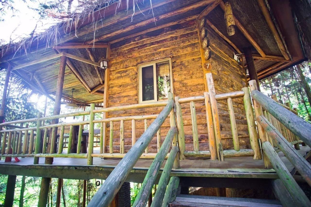 大來山樹屋民宿，喚醒古老村莊留住青山綠水