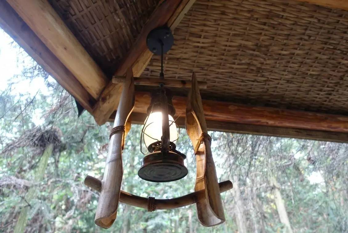 大來山樹屋民宿，喚醒古老村莊留住青山綠水