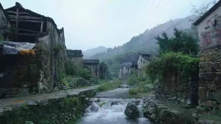 草宿民宿，愿做一顆草向往山間無拘無束的生活