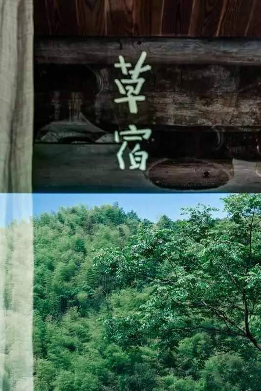 草宿民宿，愿做一顆草向往山間無拘無束的生活