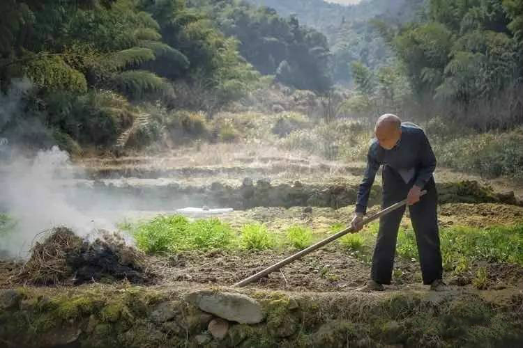 草宿民宿，愿做一顆草向往山間無拘無束的生活
