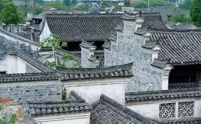 慈舍，悲喜隱去慈從舍生
