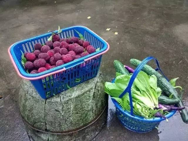 慈舍，悲喜隱去慈從舍生