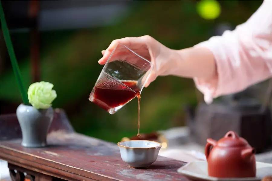 觀芷隱軒，以茶會友的民宿
