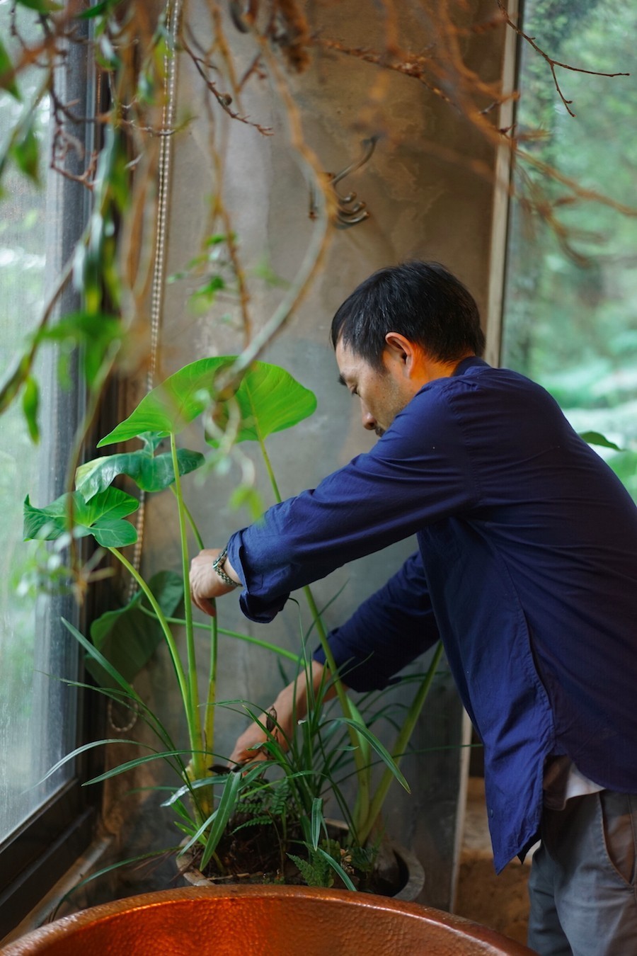 臺灣最文藝的山間小屋，數(shù)樹民宿設(shè)計