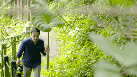 臺灣最文藝的山間小屋，數(shù)樹民宿設(shè)計