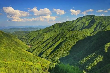 竹里云溪民宿設(shè)計，回歸田園