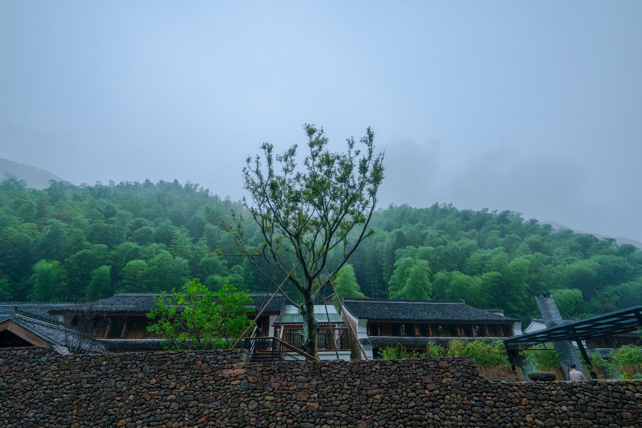 龍觀禪那，靈魂安放之處的民宿