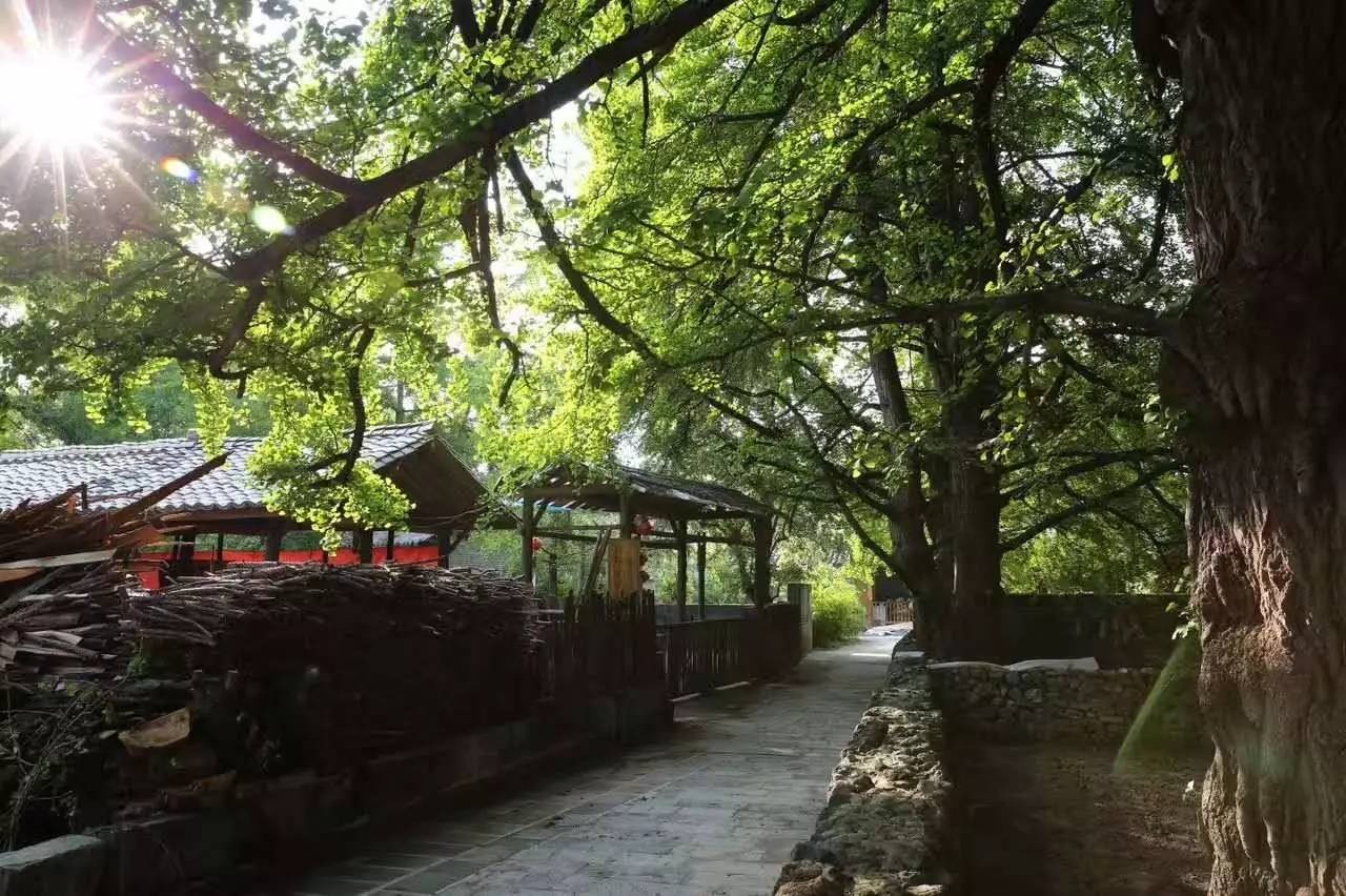 茶馬古道，民宿古宅設(shè)計(jì)改造