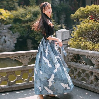 中國風江南素兮漢服，復(fù)古套裙?jié)h服圖片