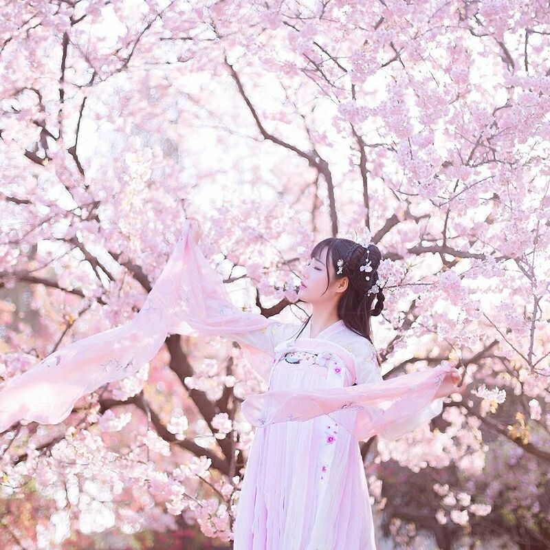 傳統(tǒng)華夏粉色漢服，漢元素清新淡雅漢服圖片