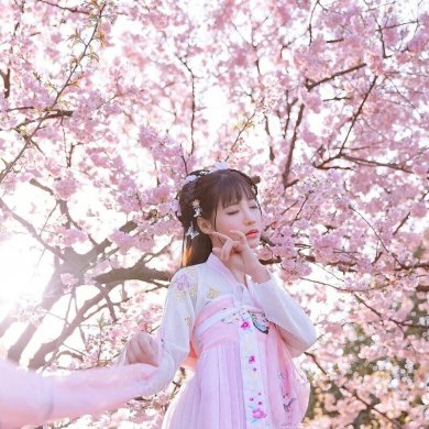 傳統(tǒng)華夏粉色漢服，漢元素清新淡雅漢服圖片