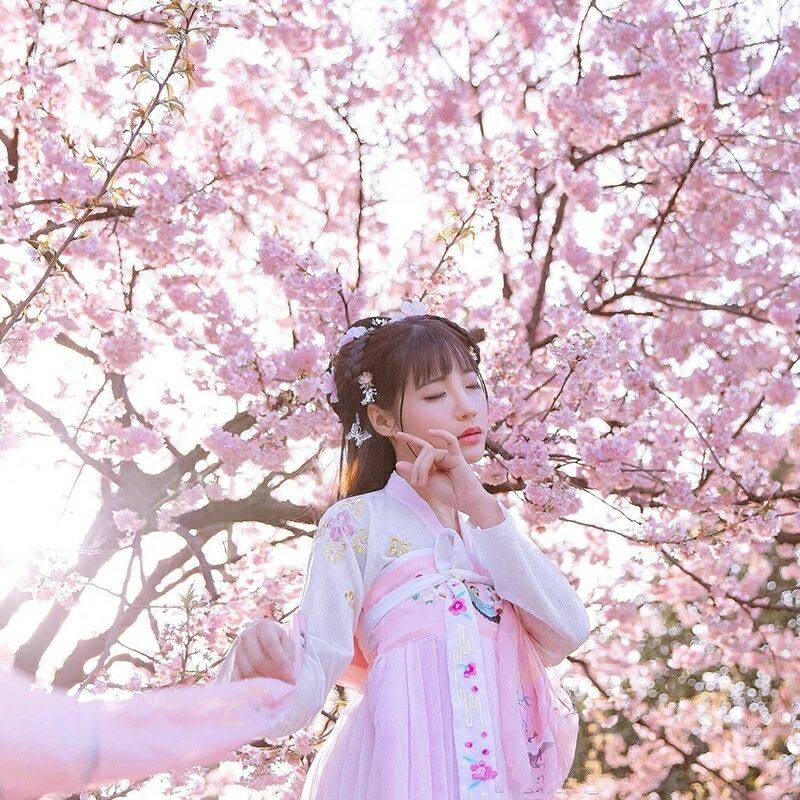 傳統(tǒng)華夏粉色漢服，漢元素清新淡雅漢服圖片