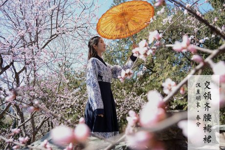 改良漢服，古風交領清新淡雅齊胸襦裙