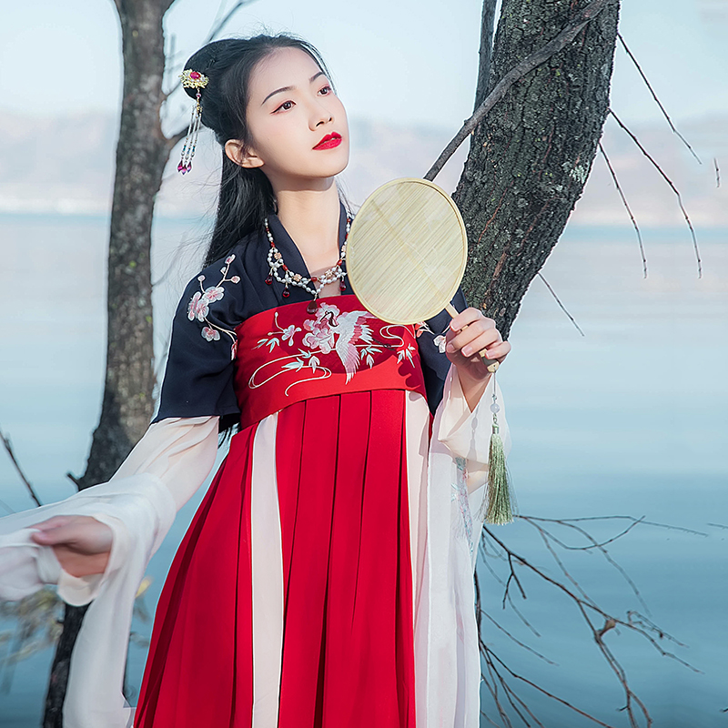 傳統(tǒng)雙袖刺繡漢服上衣，對(duì)襟半臂繡花漢服